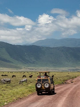 Ngorongoro