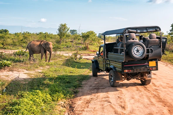 Safari en Tanzanie